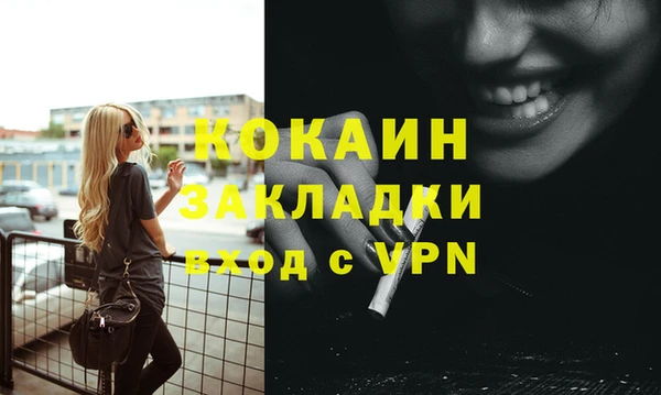 индика Михайлов