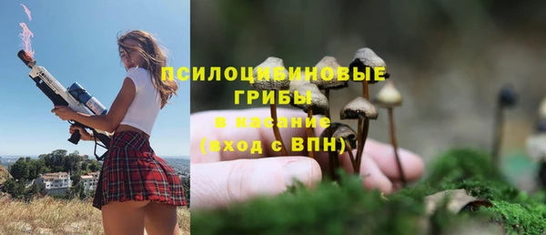 индика Михайлов