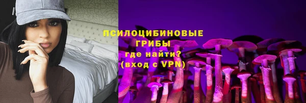 индика Михайлов