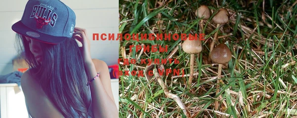 индика Михайлов