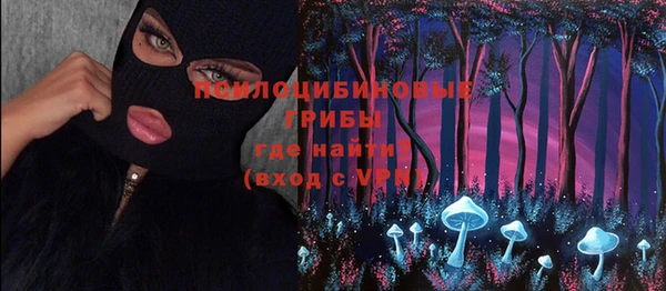 индика Михайлов