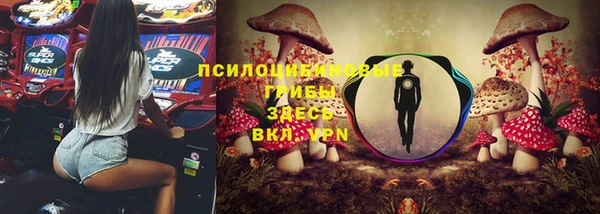 индика Михайлов