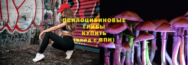 ПСИЛОЦИБИНОВЫЕ ГРИБЫ Михайловка
