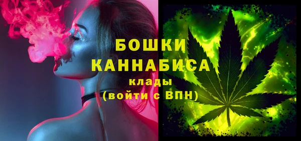 индика Михайлов