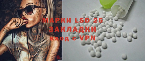 ПСИЛОЦИБИНОВЫЕ ГРИБЫ Михайловка