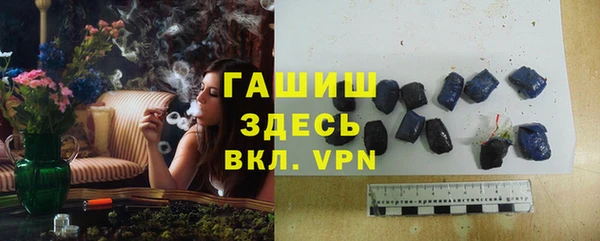 индика Михайлов