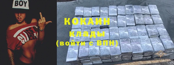 ПСИЛОЦИБИНОВЫЕ ГРИБЫ Михайловка